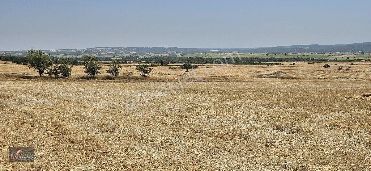 Erikli'de 10.500 M2 Satılık — fotoğraf 9