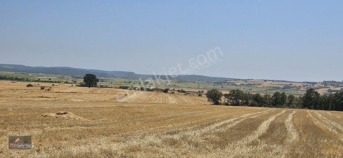 Erikli'de 10.500 M2 Satılık — fotoğraf 10