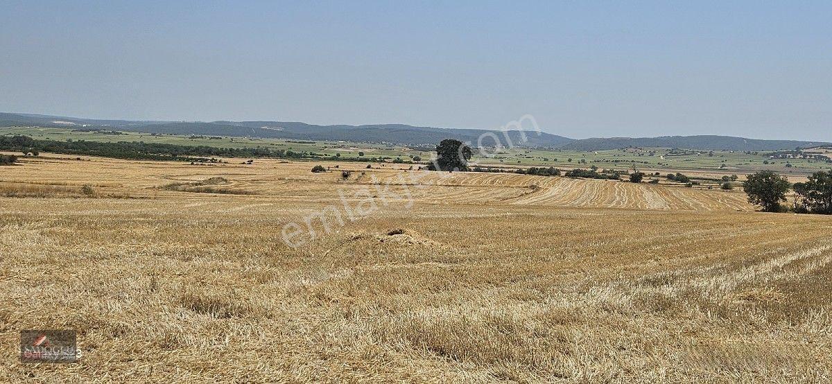 Erikli'de 10.500 M2 Satılık — fotoğraf 11