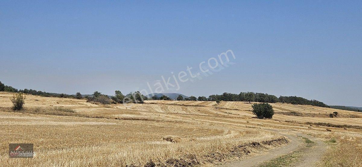 Erikli'de 10.500 M2 Satılık — fotoğraf 12