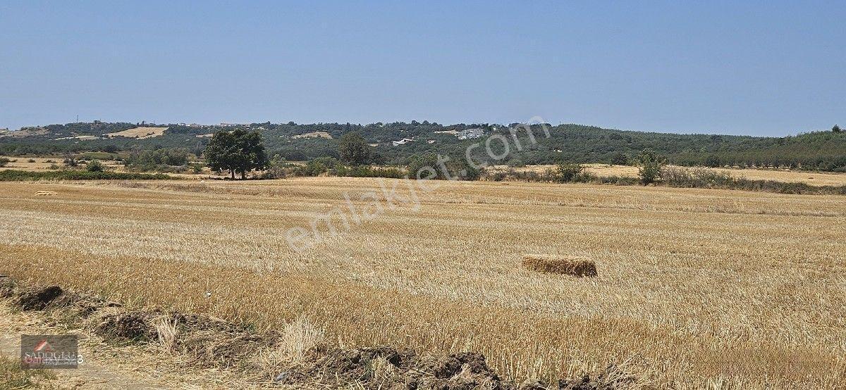 Erikli'de 10.500 M2 Satılık — fotoğraf 13