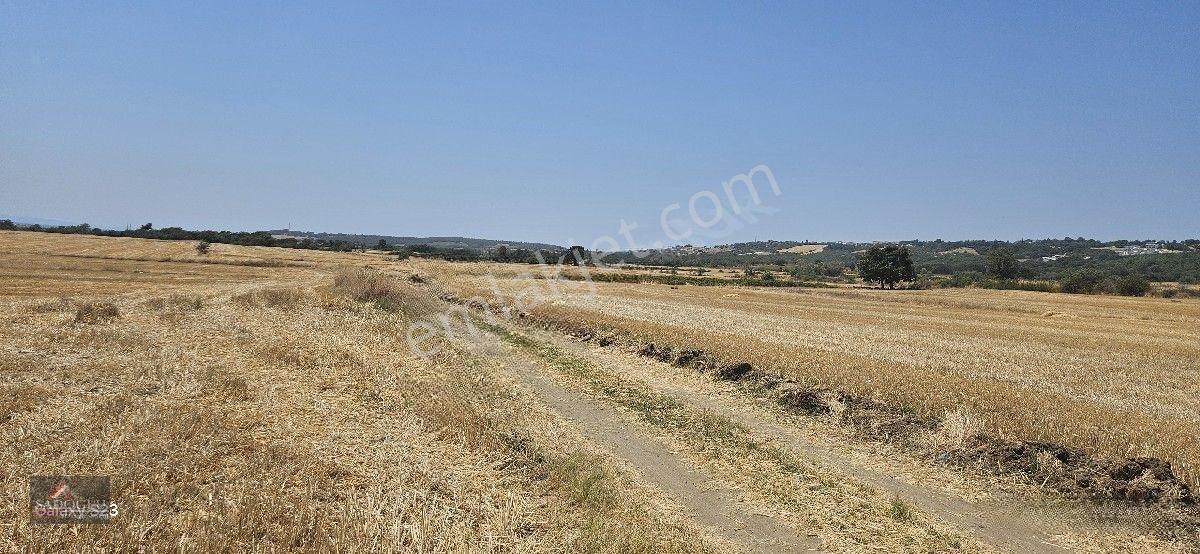 Erikli'de 10.500 M2 Satılık — fotoğraf 14