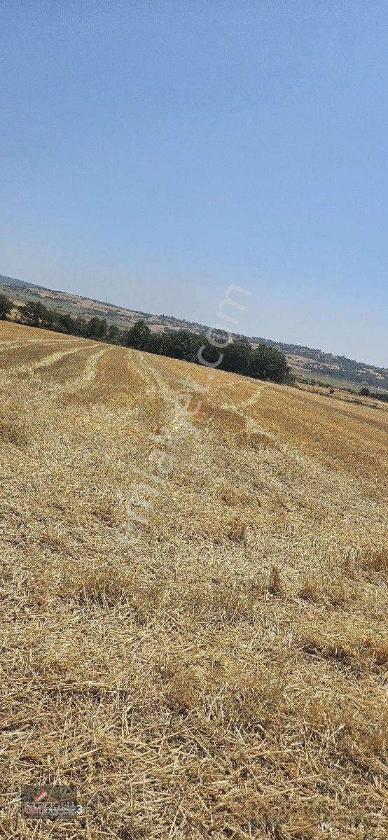 Erikli'de 10.500 M2 Satılık — fotoğraf 15