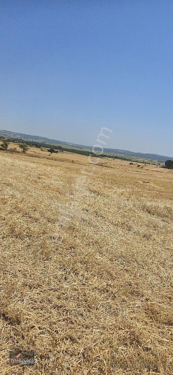 Erikli'de 10.500 M2 Satılık — fotoğraf 16
