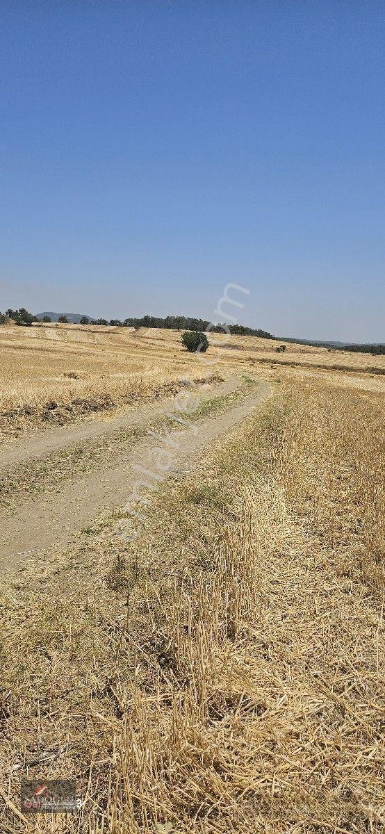 Erikli'de 10.500 M2 Satılık — fotoğraf 17