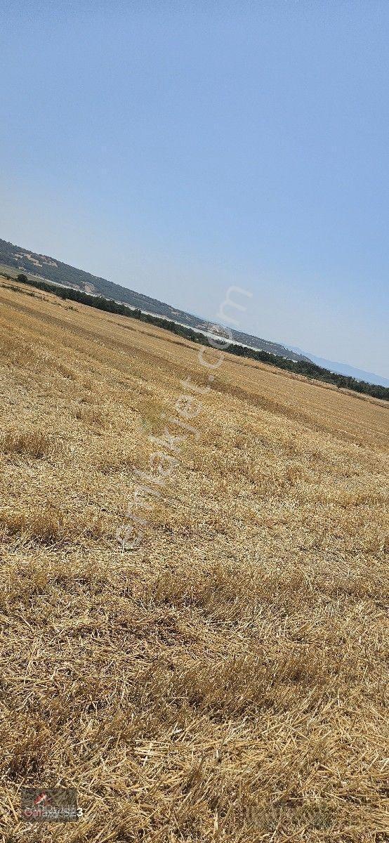 Erikli'de 10.500 M2 Satılık — fotoğraf 18