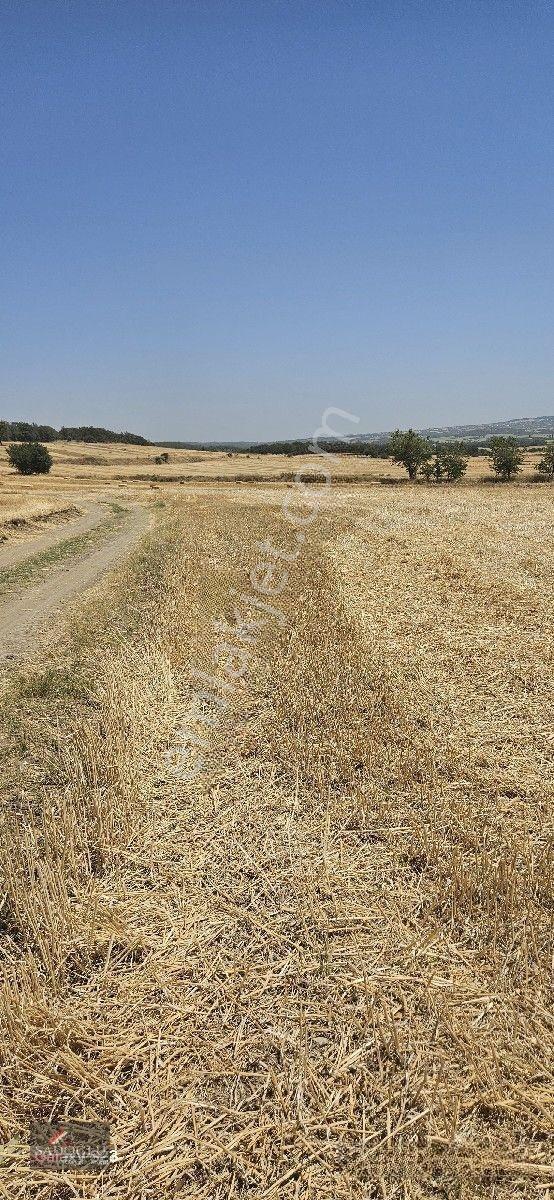 Erikli'de 10.500 M2 Satılık — fotoğraf 19