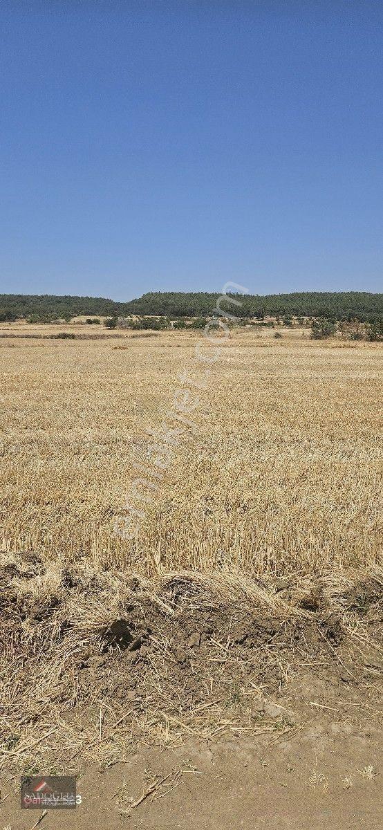 Erikli'de 10.500 M2 Satılık — fotoğraf 20