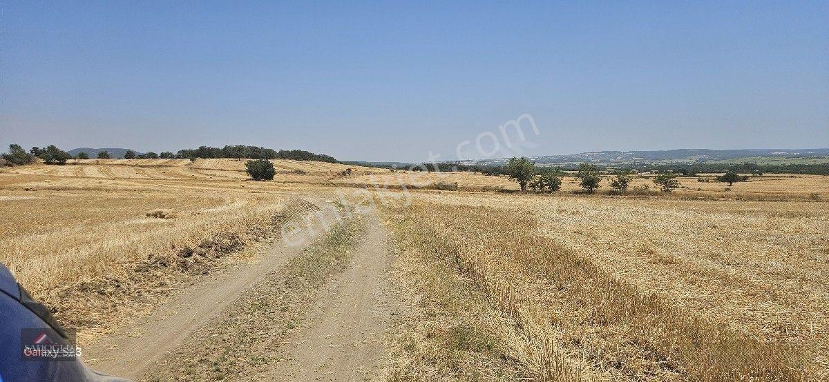 Erikli'de 10.500 M2 Satılık — fotoğraf 21