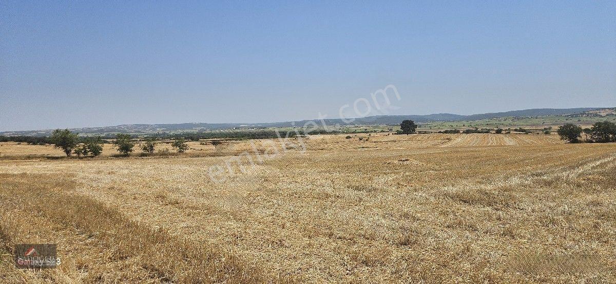 Erikli'de 10.500 M2 Satılık — fotoğraf 22