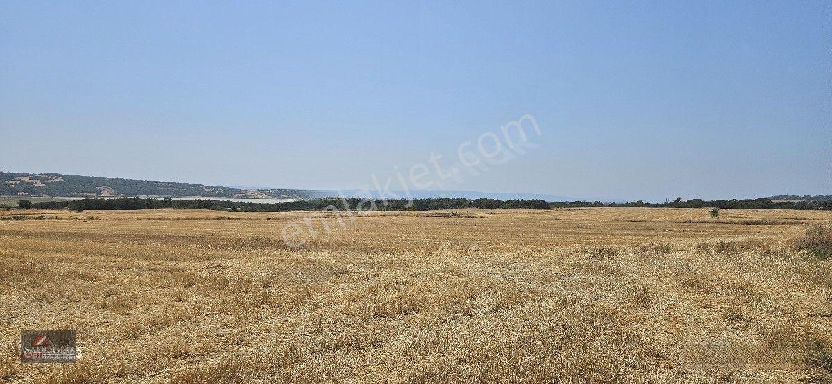 Erikli'de 10.500 M2 Satılık — fotoğraf 23