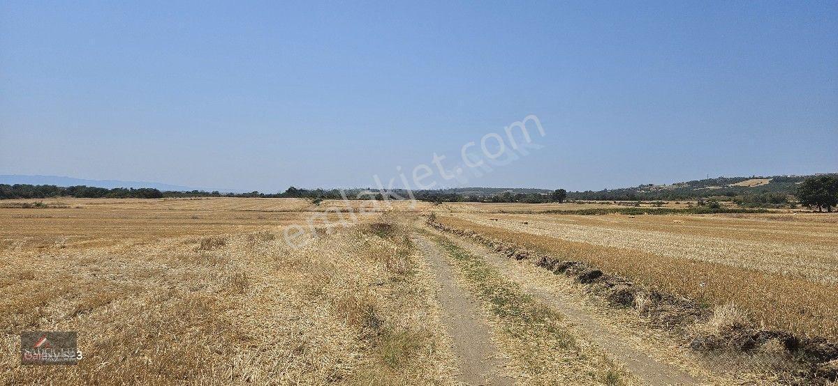 Erikli'de 10.500 M2 Satılık — fotoğraf 24