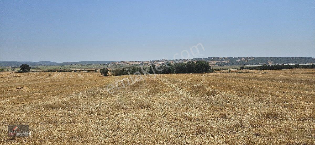 Erikli'de 10.500 M2 Satılık — fotoğraf 25