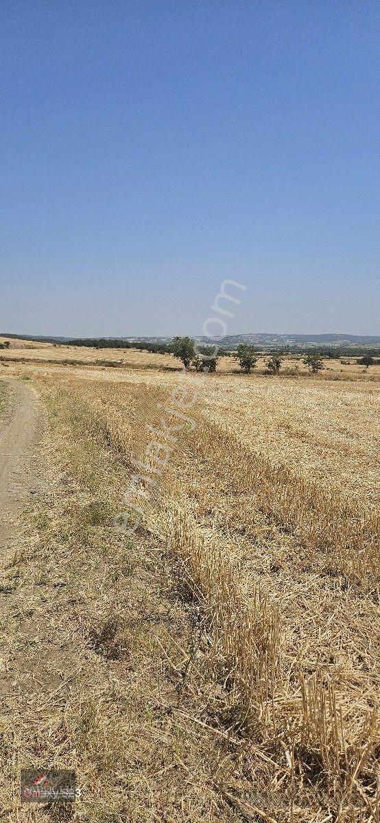 Erikli'de 10.500 M2 Satılık — fotoğraf 26