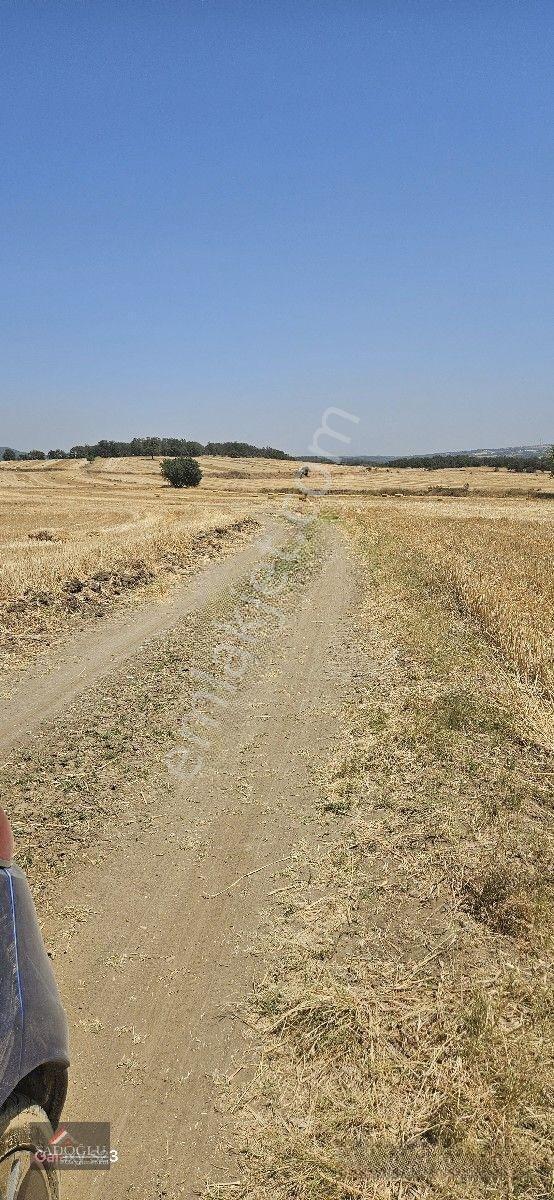 Erikli'de 10.500 M2 Satılık — fotoğraf 27