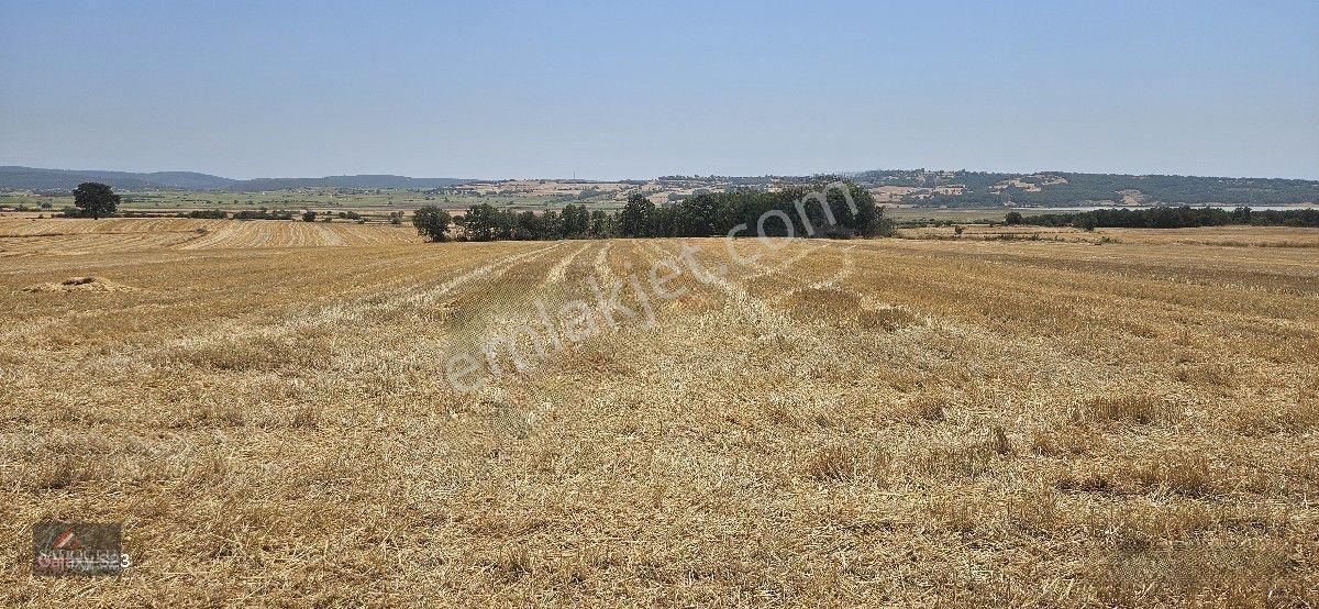 Erikli'de 10.500 M2 Satılık — fotoğraf 28