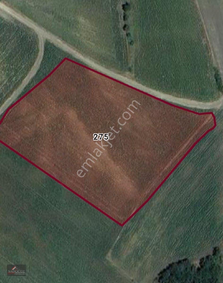 Erikli'de 10.500 M2 Satılık — fotoğraf 29
