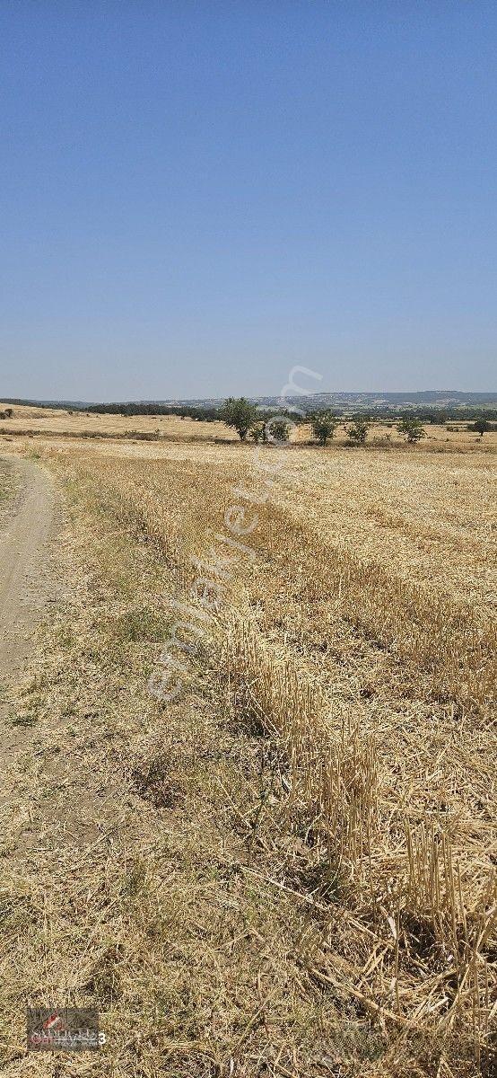 Erikli'de 10.500 M2 Satılık — fotoğraf 30