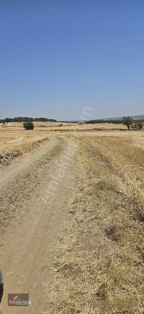 Erikli'de 10.500 M2 Satılık — fotoğraf 31