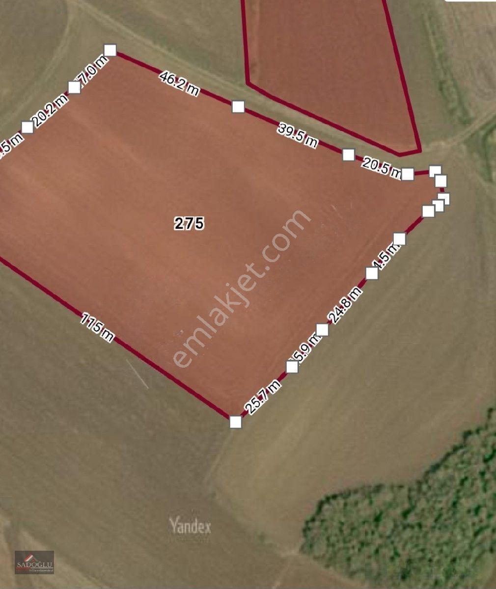 Erikli'de 10.500 M2 Satılık — fotoğraf 34