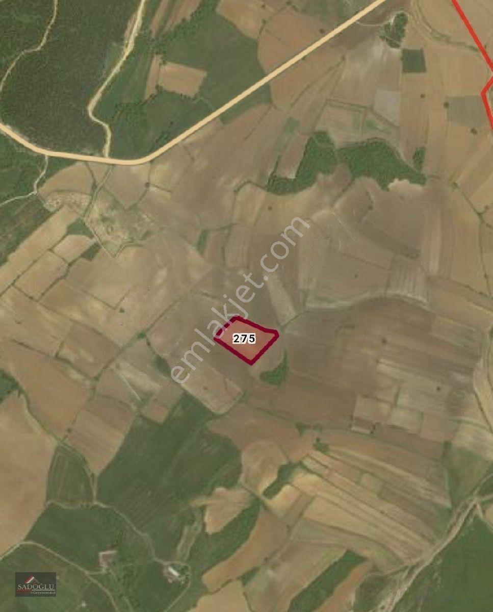 Erikli'de 10.500 M2 Satılık — fotoğraf 35