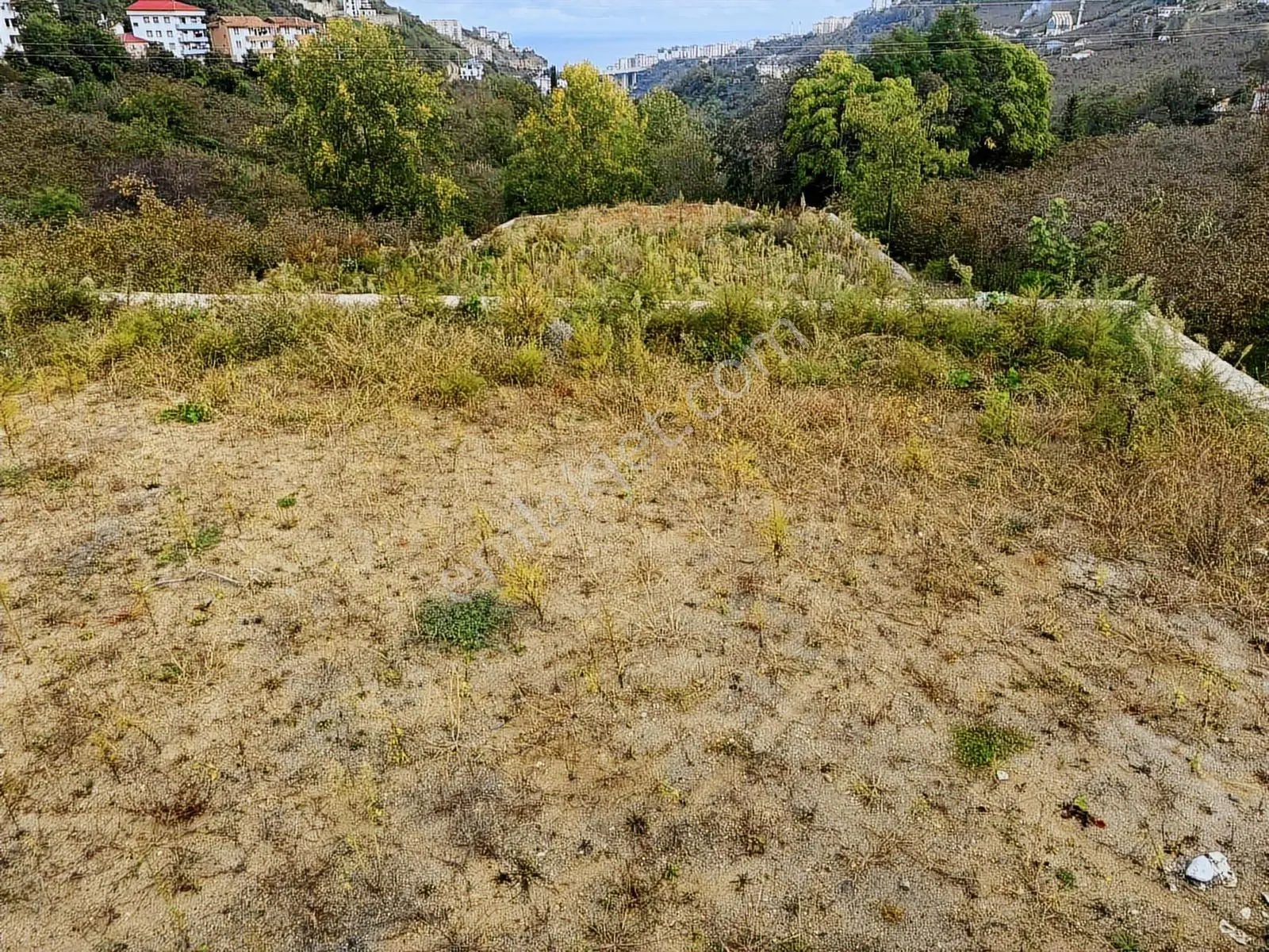 Trabzon Bengisuda Satılık Projesi Hazır Villalık Parsel — fotoğraf 4