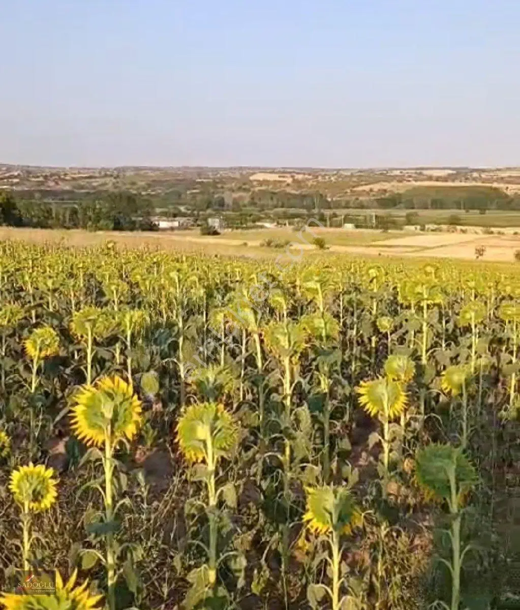 Satılık Koyunbaba'da 1.200 M2 Müstakil Tapulu Arazi — fotoğraf 2
