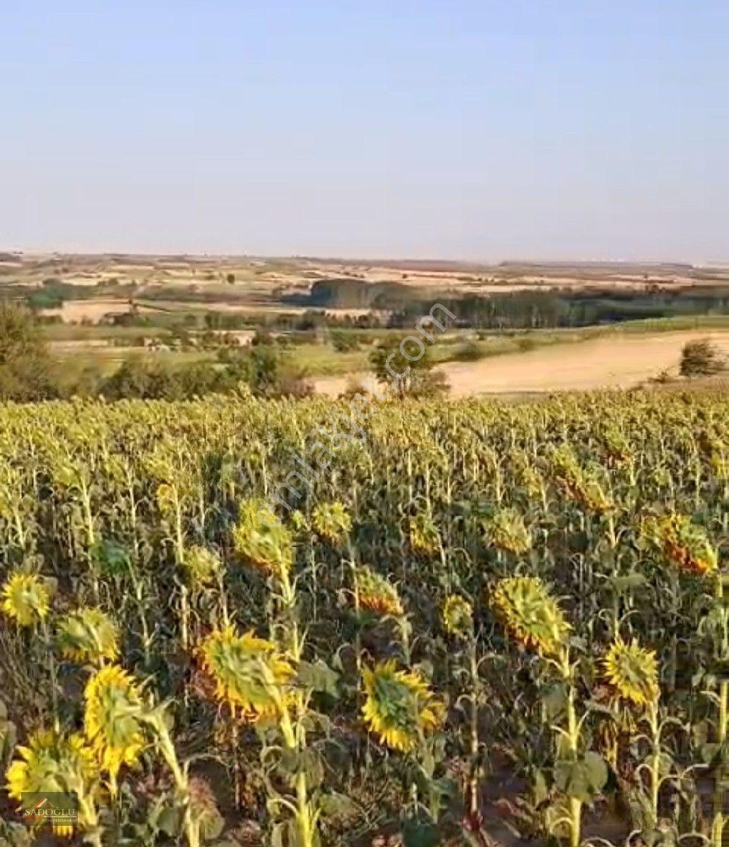 Satılık Koyunbaba'da 1.200 M2 Müstakil Tapulu Arazi — fotoğraf 7