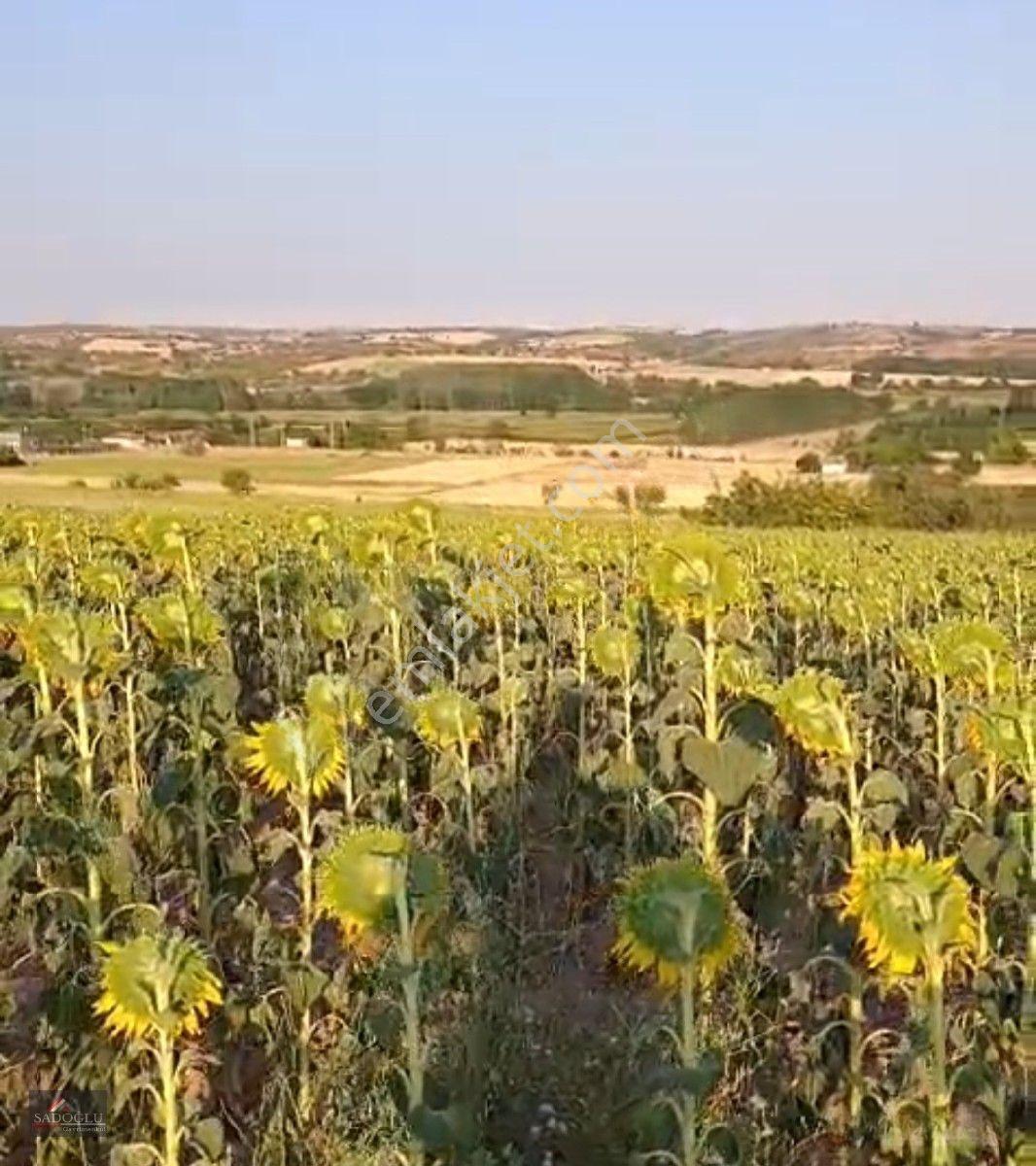 Satılık Koyunbaba'da 1.200 M2 Müstakil Tapulu Arazi — fotoğraf 8