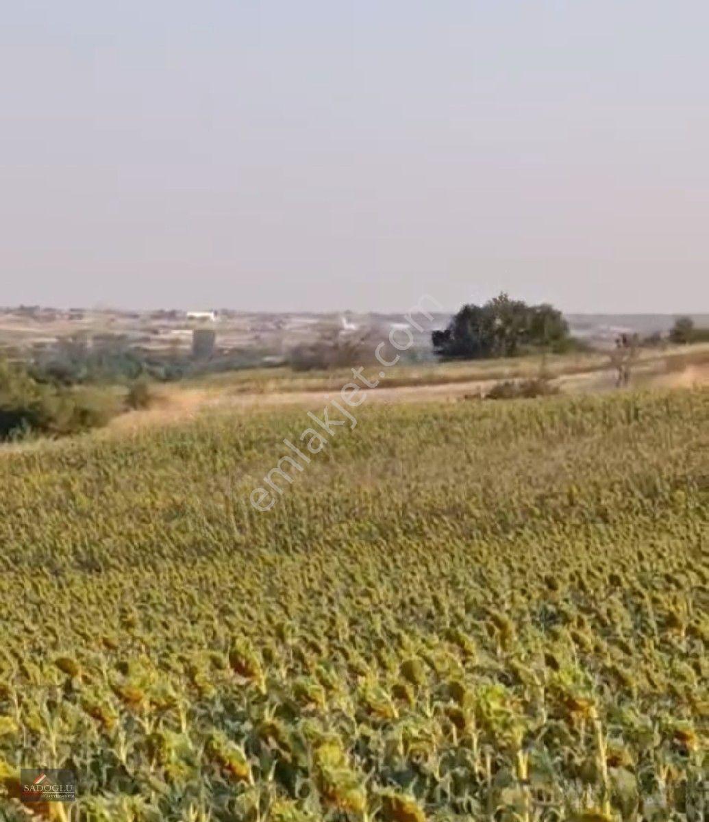 Satılık Koyunbaba'da 1.200 M2 Müstakil Tapulu Arazi — fotoğraf 10