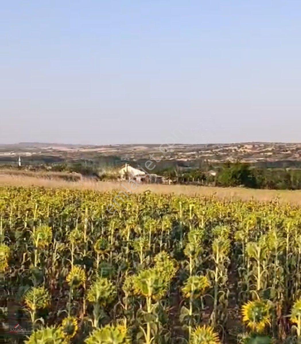 Satılık Koyunbaba'da 1.200 M2 Müstakil Tapulu Arazi — fotoğraf 16