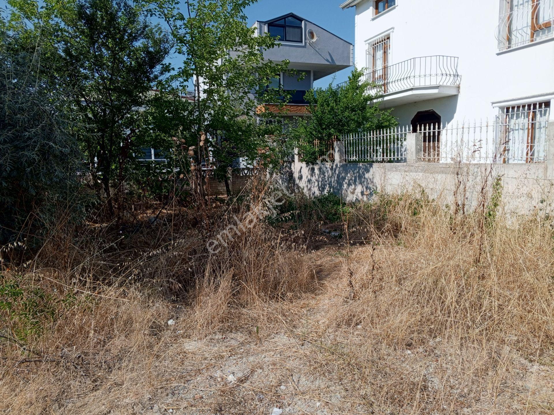 Ege Gayrimenkul Den Semizkumlarda Satilik Arsa — fotoğraf 2