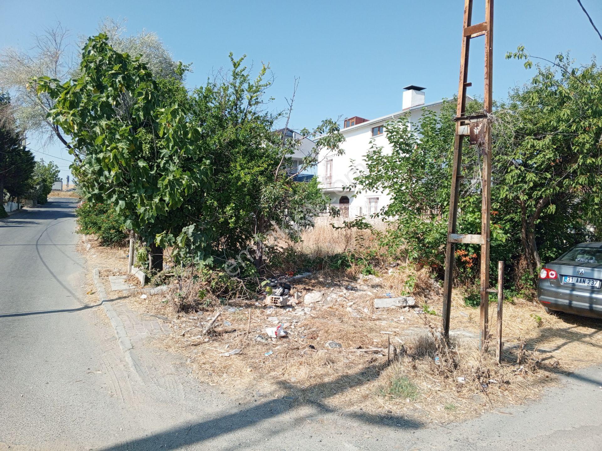 Ege Gayrimenkul Den Semizkumlarda Satilik Arsa — fotoğraf 8