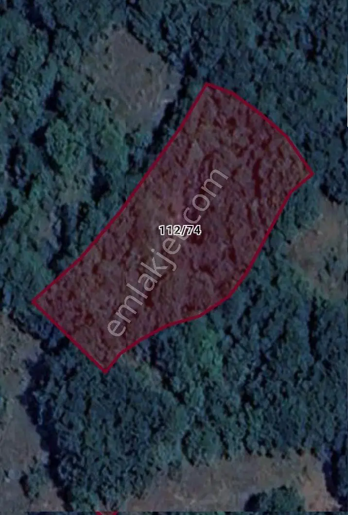 İnegöl Kınık Mahallesi 2000 M² Satılık Tarla — fotoğraf 2