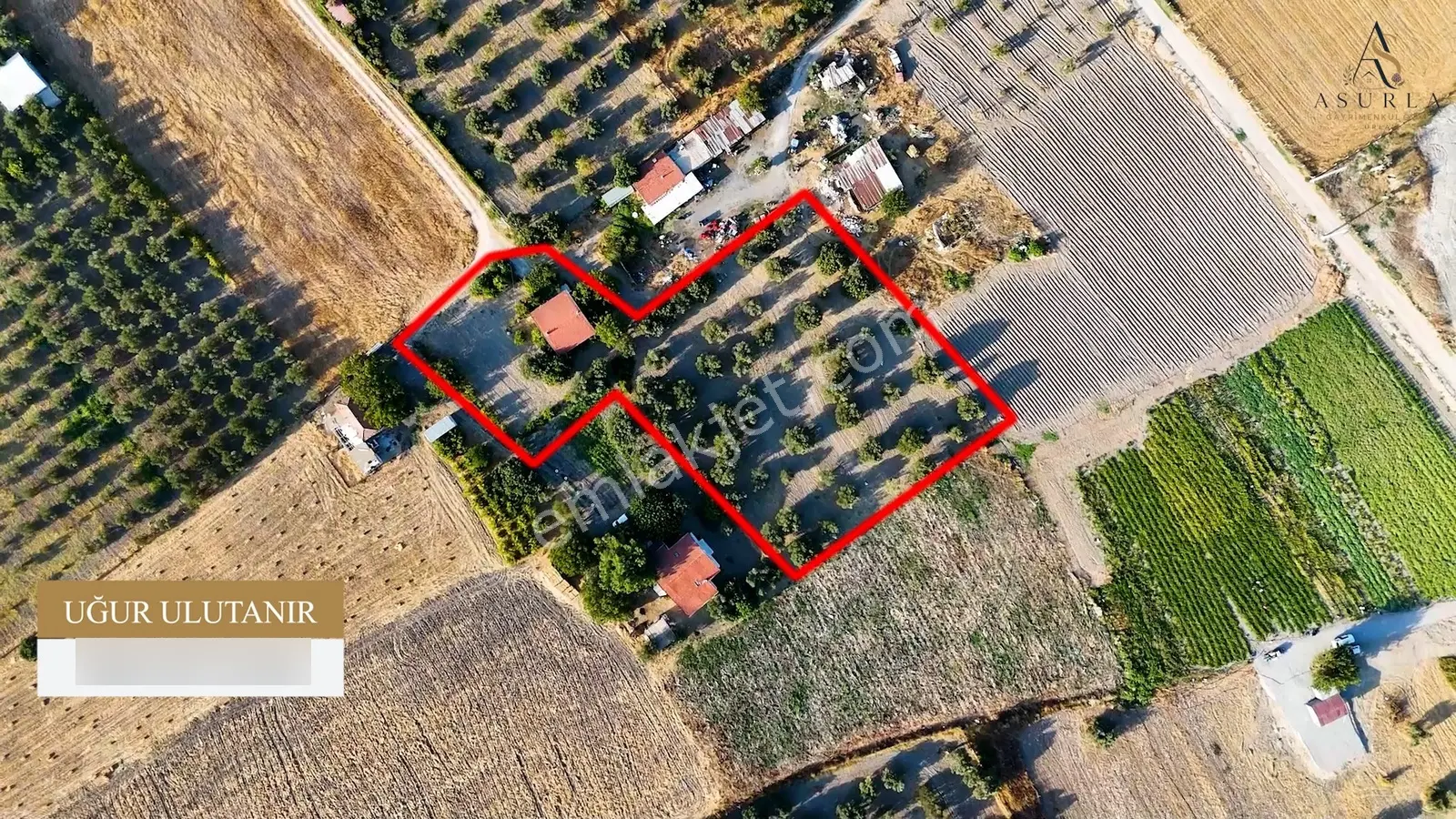 Satılık Urla İçmelerde 5.155 M² Tek Parsel Tarla — fotoğraf 4