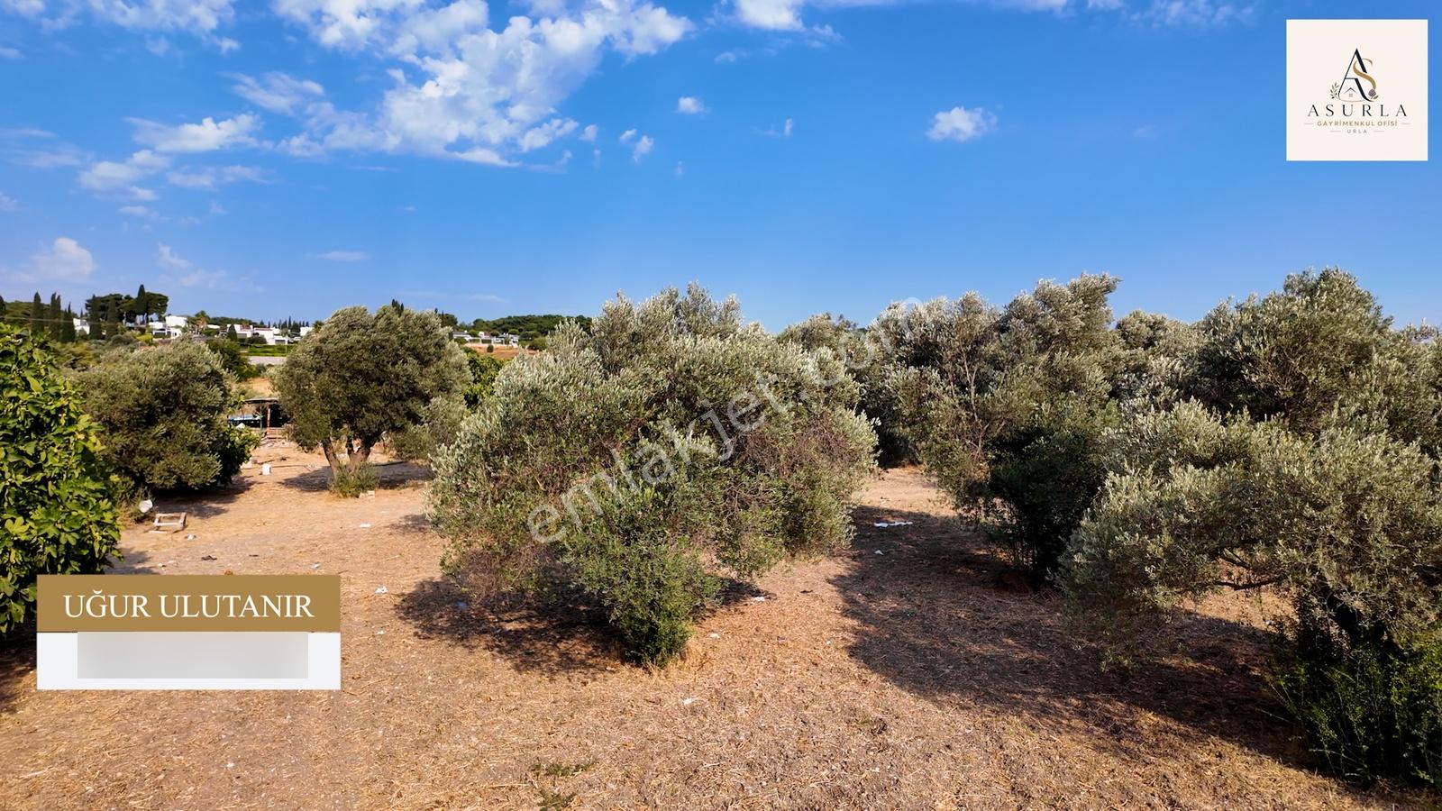 Satılık Urla İçmelerde 5.155 M² Tek Parsel Tarla — fotoğraf 13