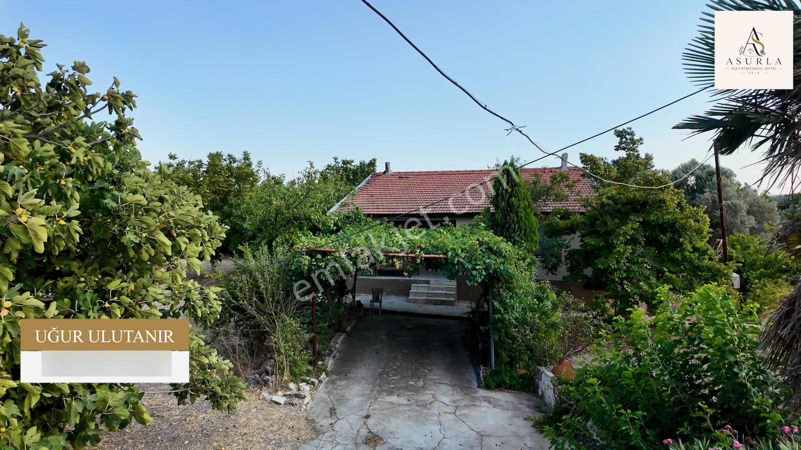 Satılık Urla İçmelerde 5.155 M² Tek Parsel Tarla — fotoğraf 15