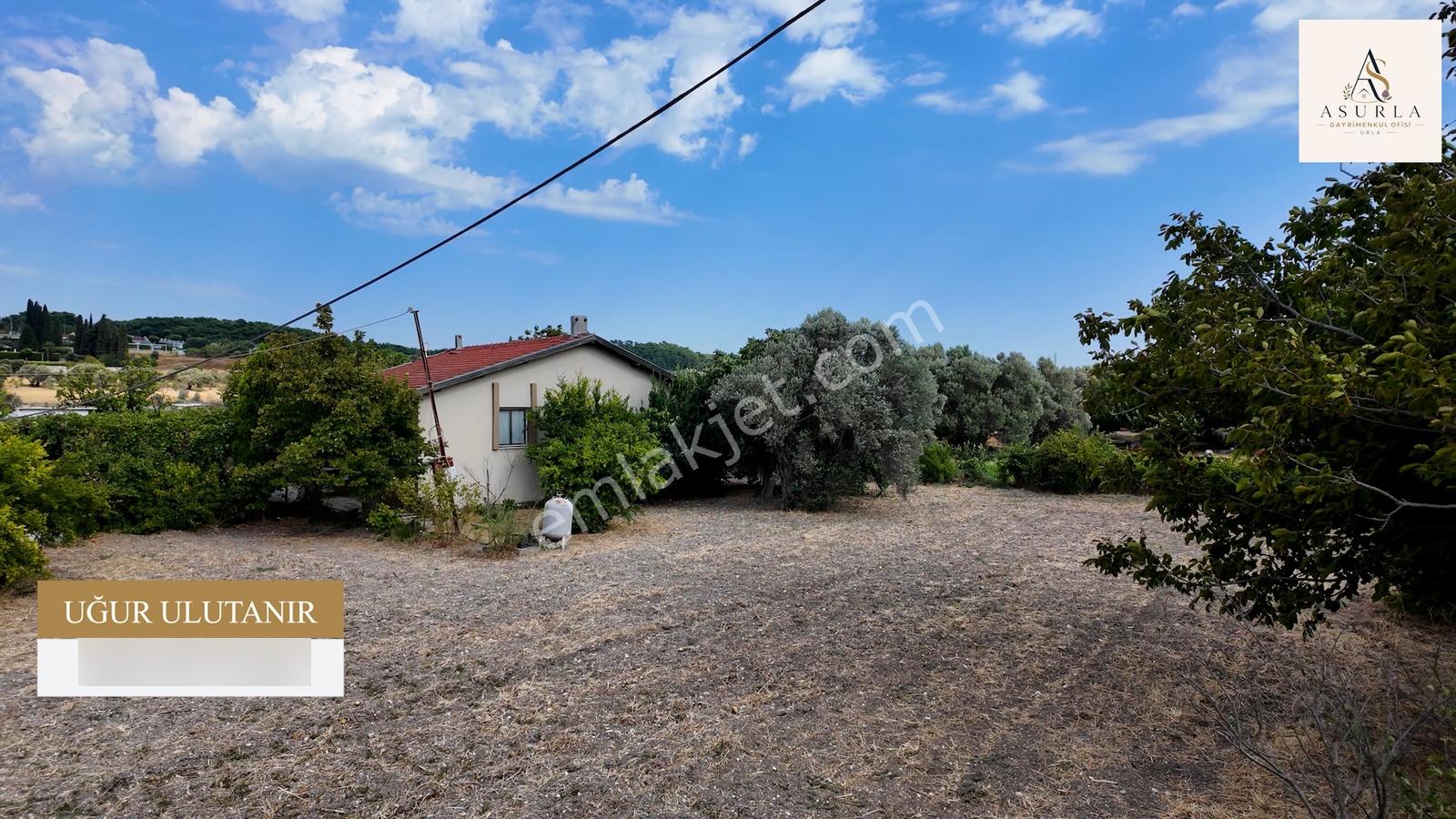 Satılık Urla İçmelerde 5.155 M² Tek Parsel Tarla — fotoğraf 19