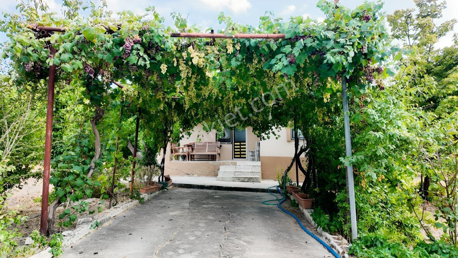 Satılık Urla İçmelerde 5.155 M² Tek Parsel Tarla — fotoğraf 20