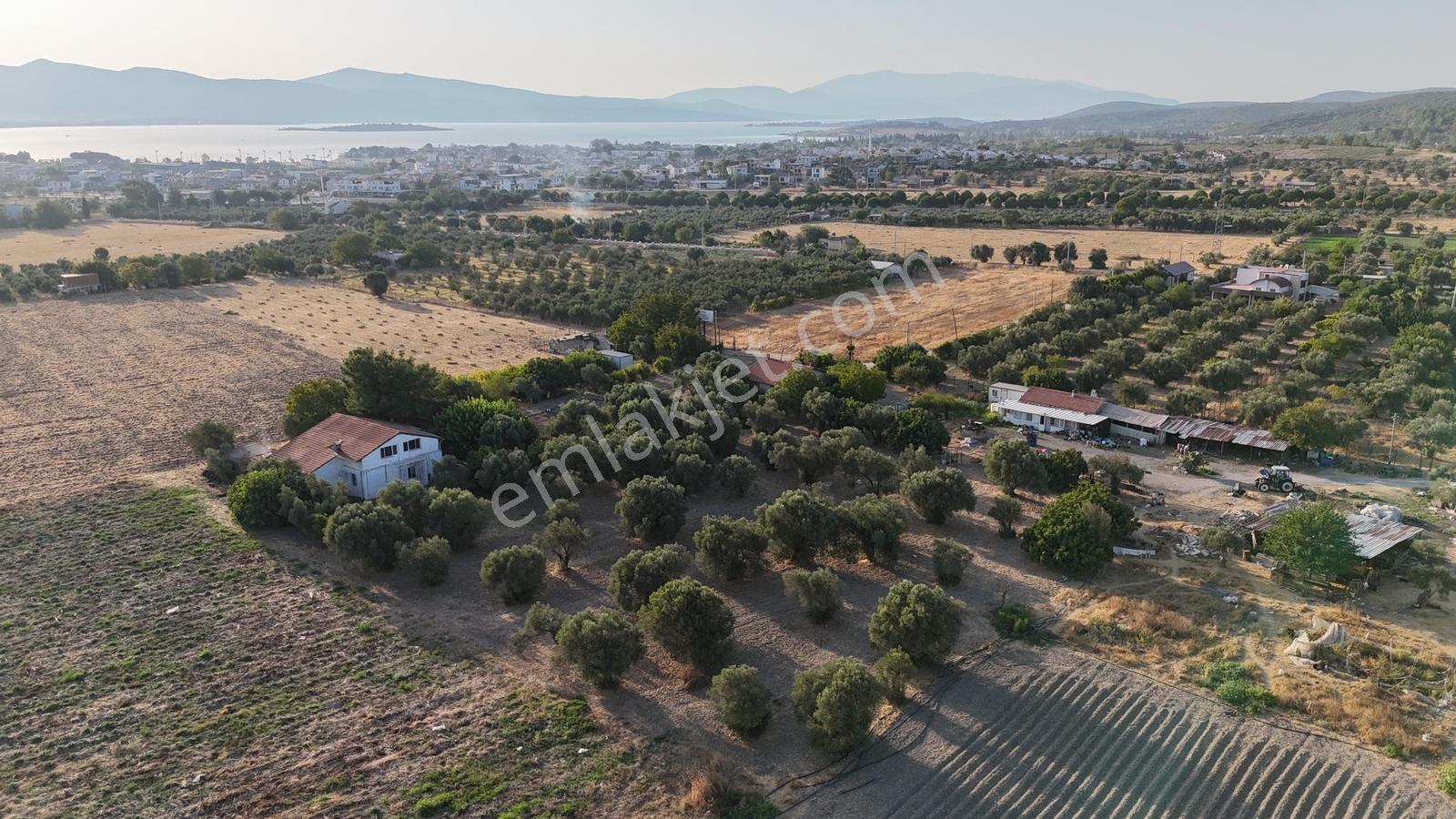 Satılık Urla İçmelerde 5.155 M² Tek Parsel Tarla — fotoğraf 21