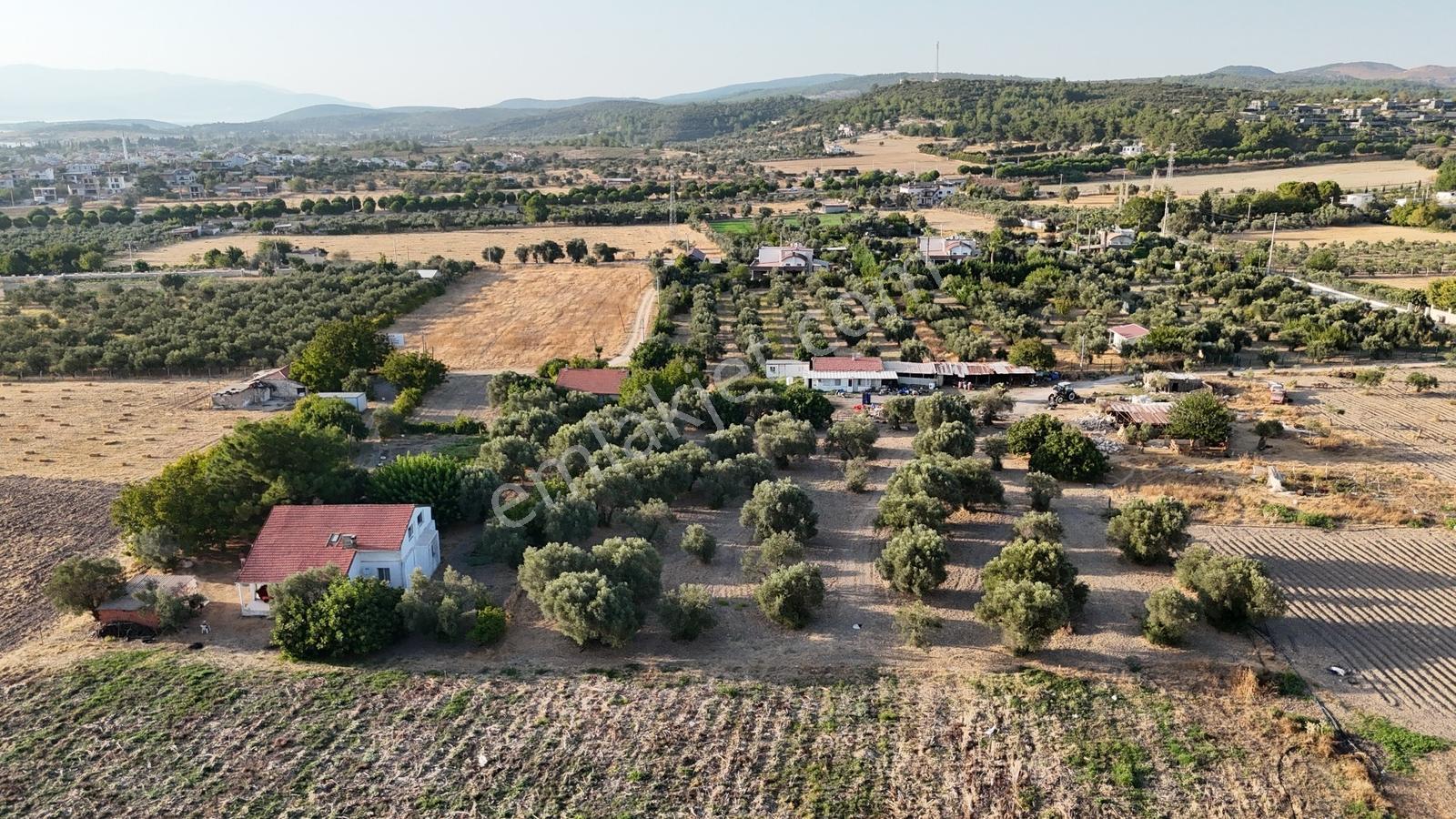 Satılık Urla İçmelerde 5.155 M² Tek Parsel Tarla — fotoğraf 23