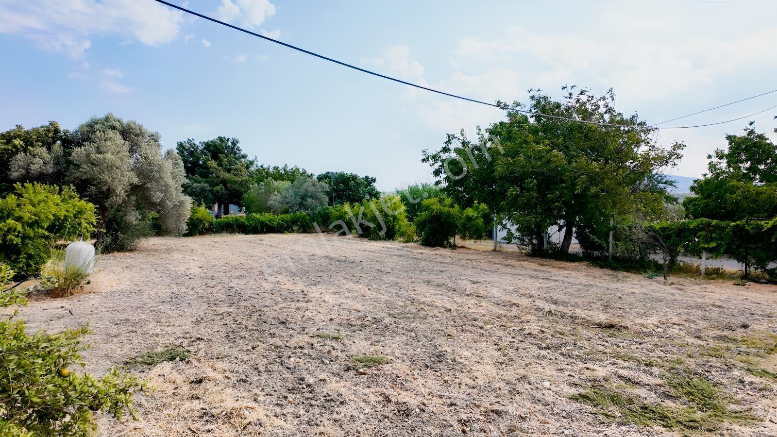 Satılık Urla İçmelerde 5.155 M² Tek Parsel Tarla — fotoğraf 24