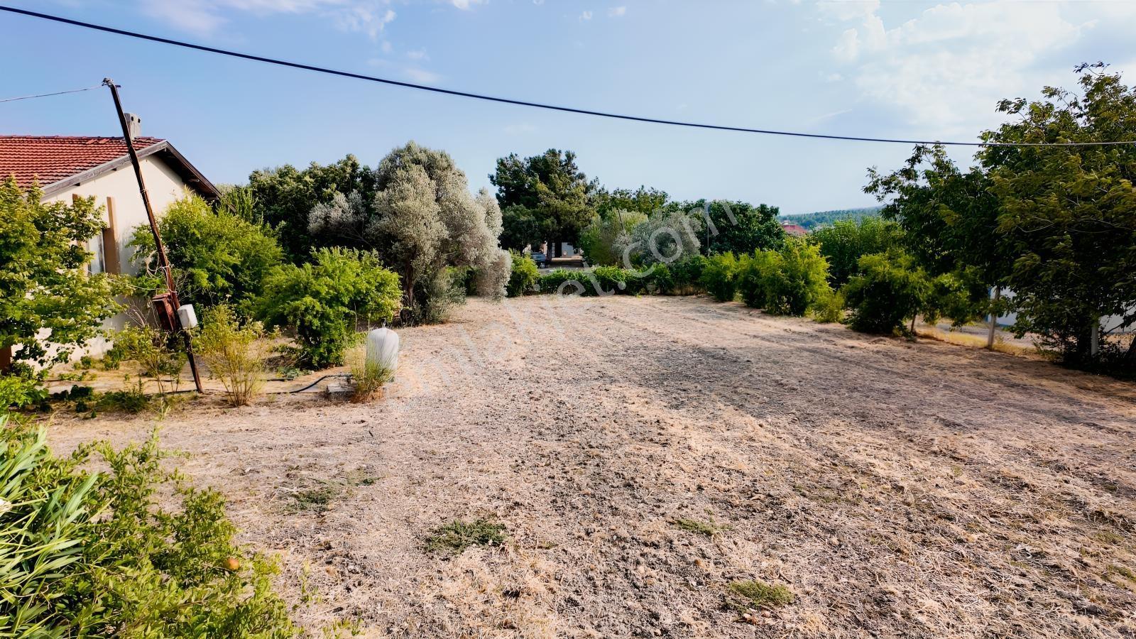 Satılık Urla İçmelerde 5.155 M² Tek Parsel Tarla — fotoğraf 25