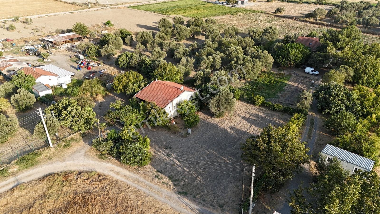 Satılık Urla İçmelerde 5.155 M² Tek Parsel Tarla — fotoğraf 30