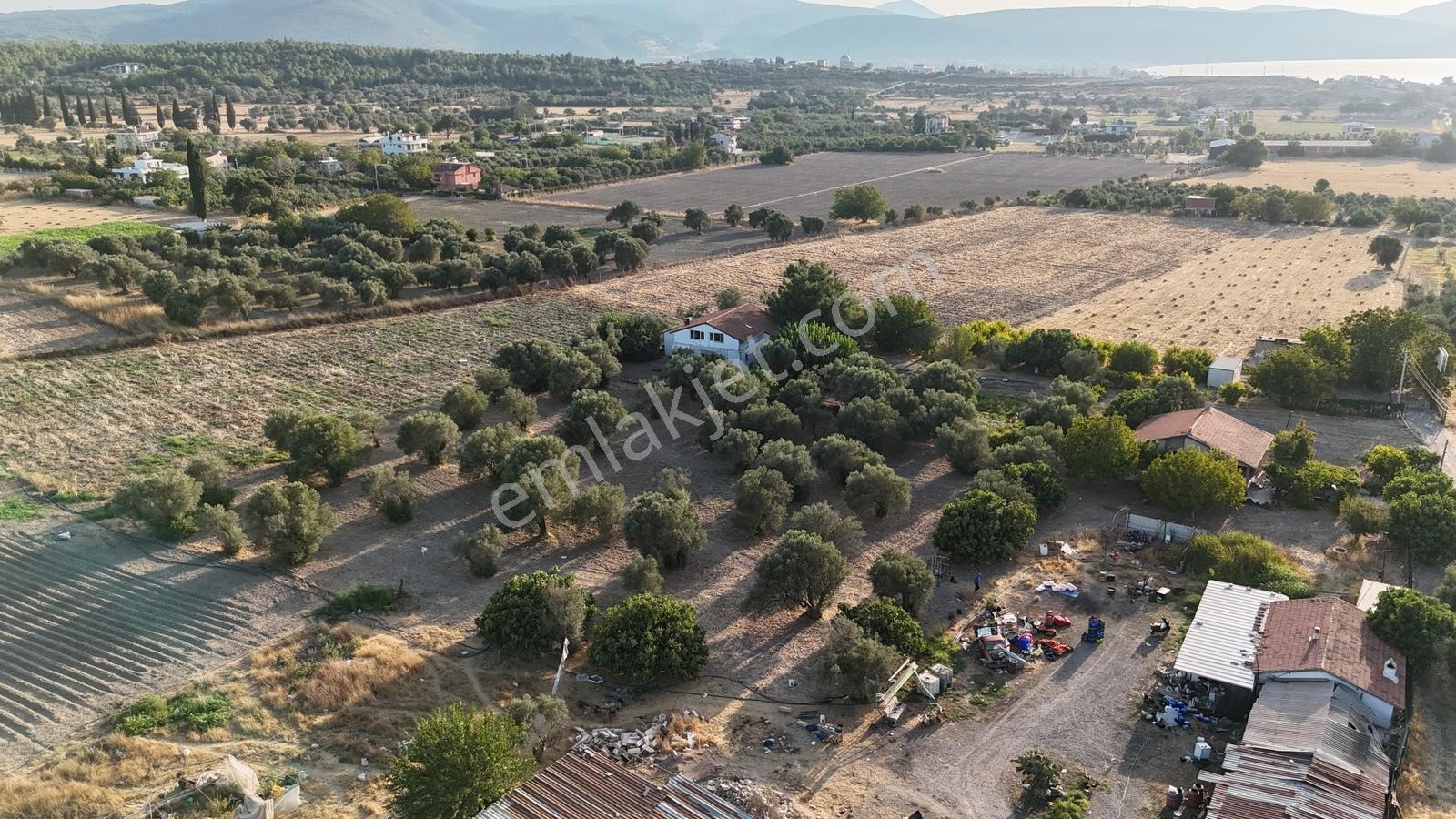 Satılık Urla İçmelerde 5.155 M² Tek Parsel Tarla — fotoğraf 32
