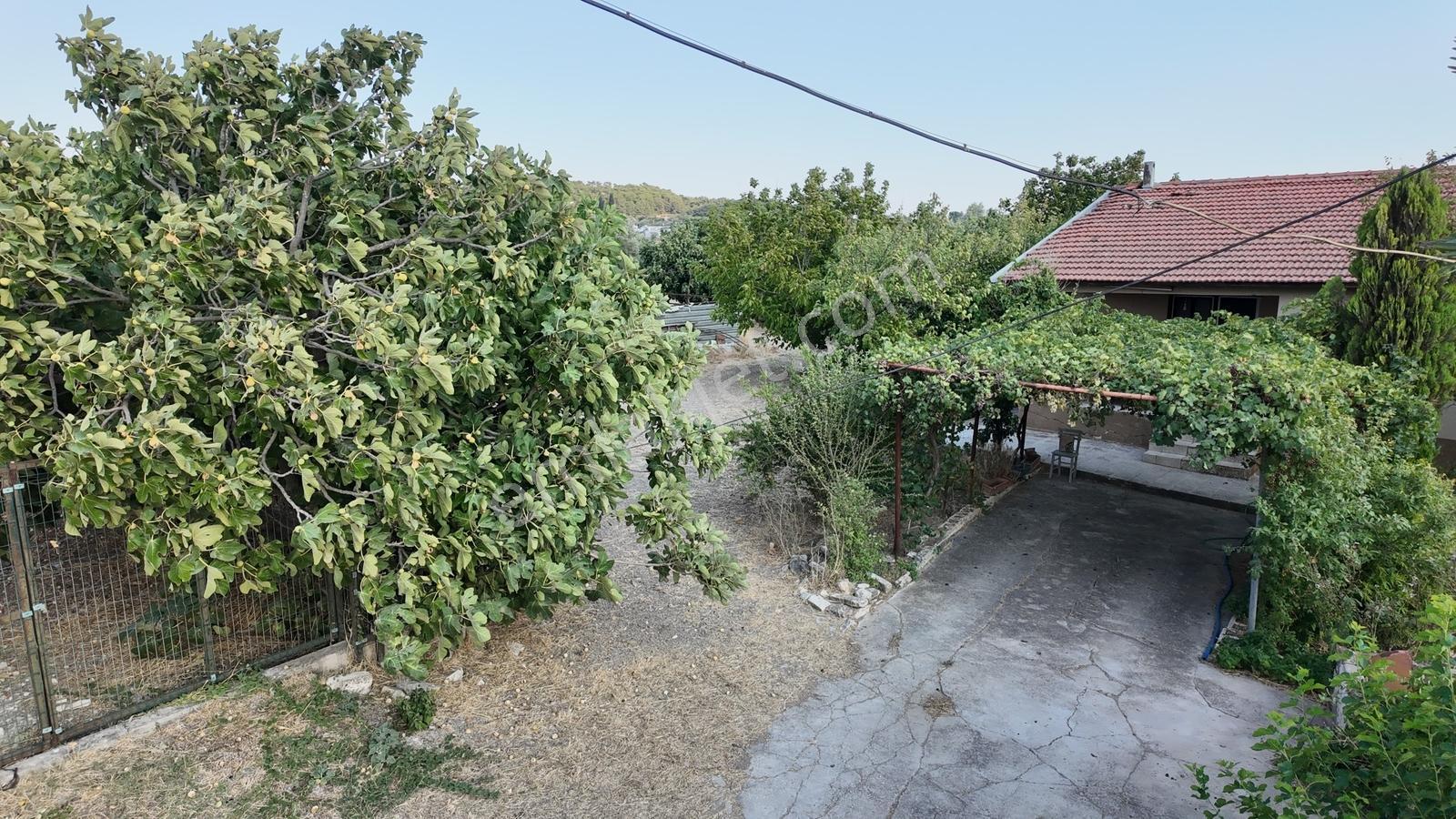 Satılık Urla İçmelerde 5.155 M² Tek Parsel Tarla — fotoğraf 35