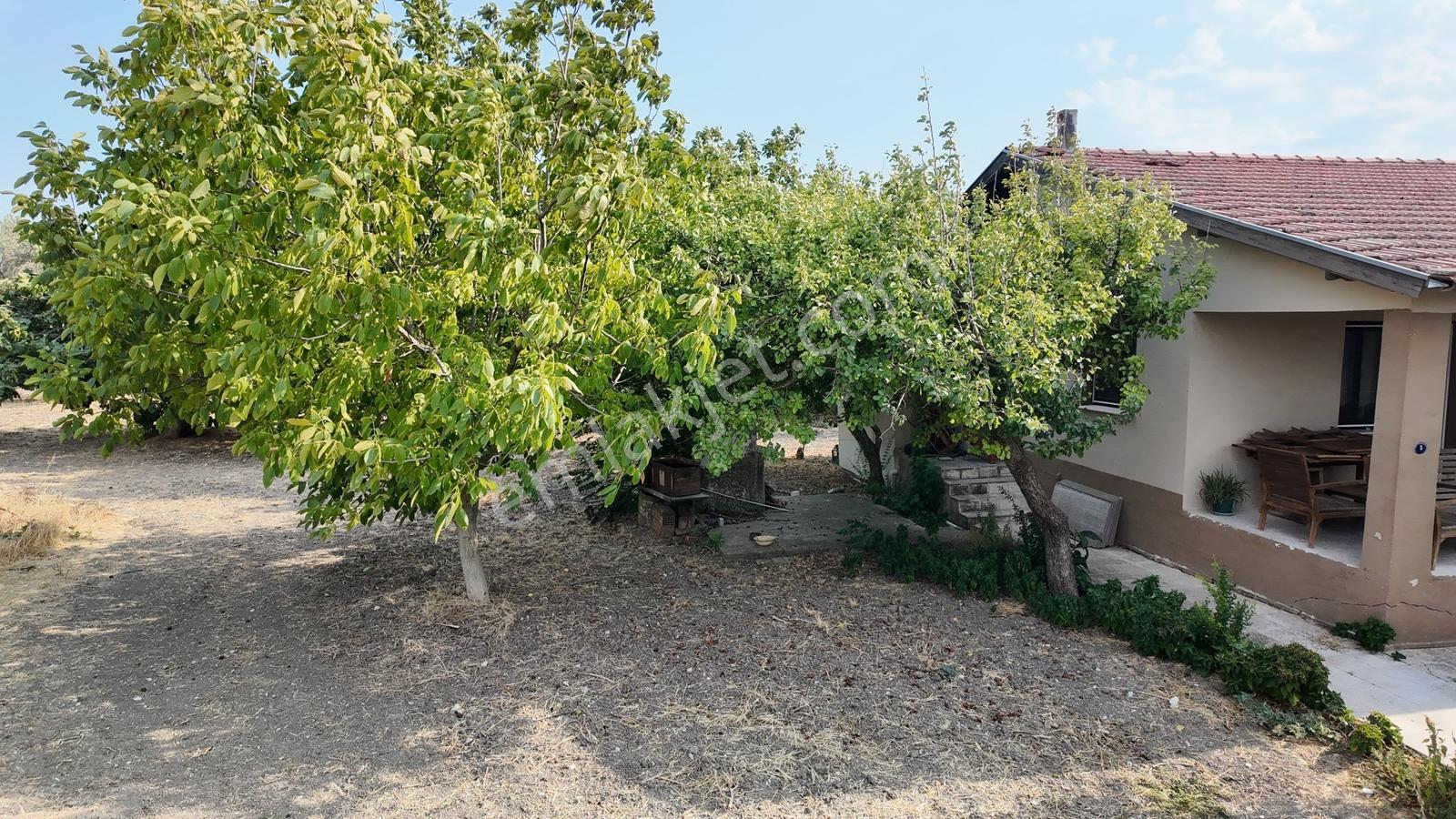 Satılık Urla İçmelerde 5.155 M² Tek Parsel Tarla — fotoğraf 36