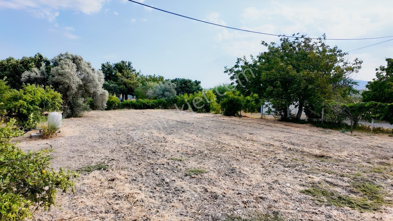 Satılık Urla İçmelerde 5.155 M² Tek Parsel Tarla — fotoğraf 39