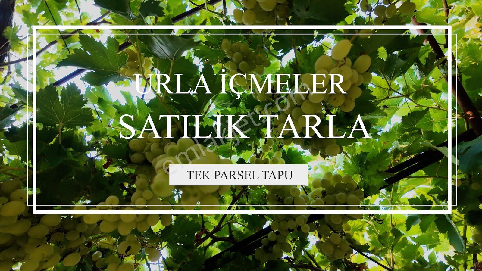 Satılık Urla İçmelerde 5.155 M² Tek Parsel Tarla — fotoğraf 40