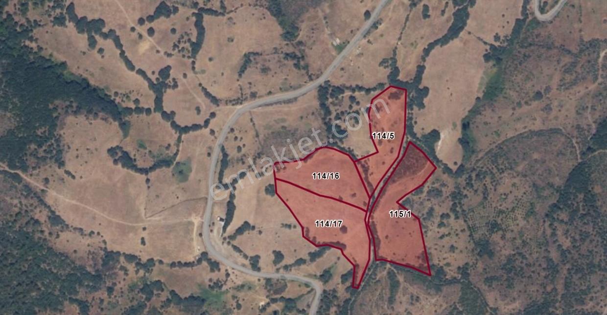 Çanakkale Bayramiç Kaykılar'da 7.224 M² Yola Cepheli Tarla — fotoğraf 7